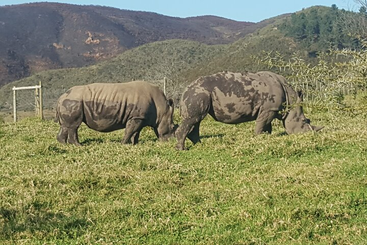  Garden Route Experience - Photo 1 of 14